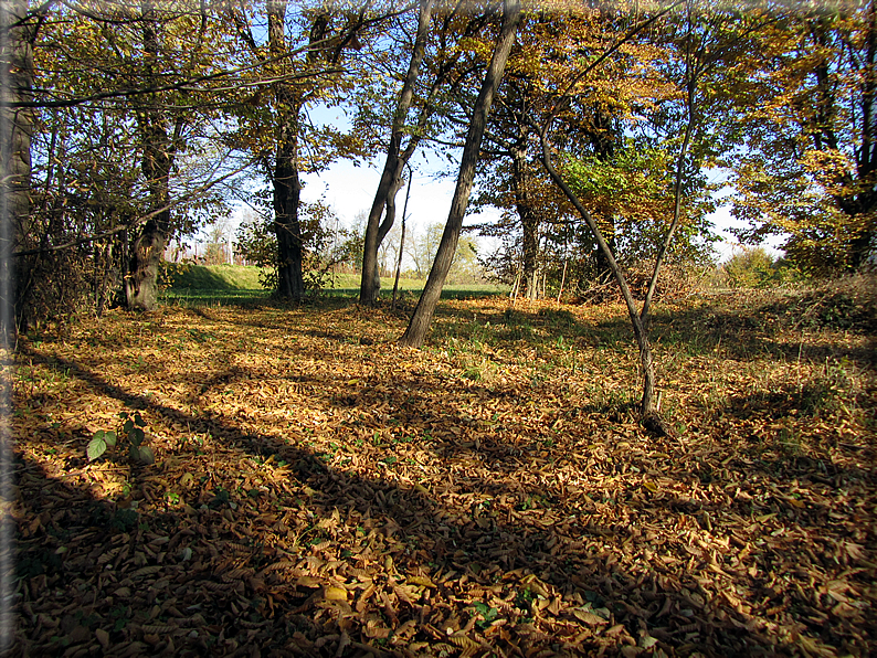 foto Alle pendici del Monte Grappa in Autunno